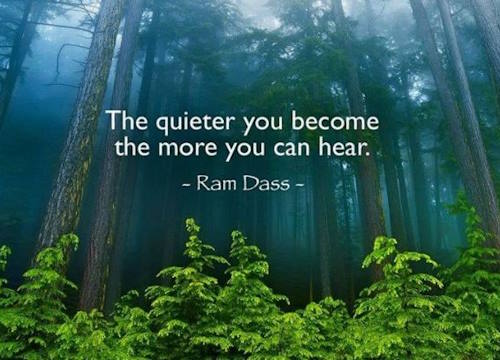 The Quieter You Become ....