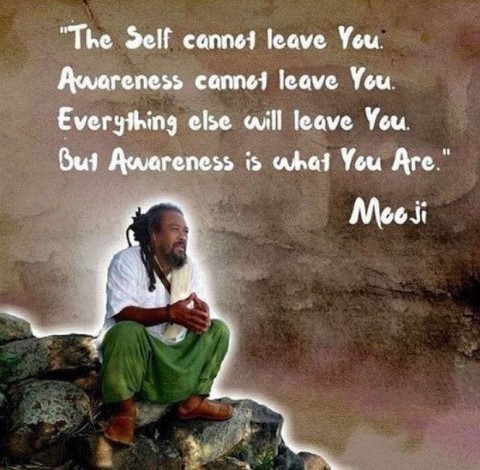 Awareness is What You Are