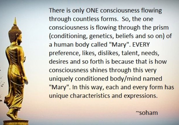 Only One Consciousness