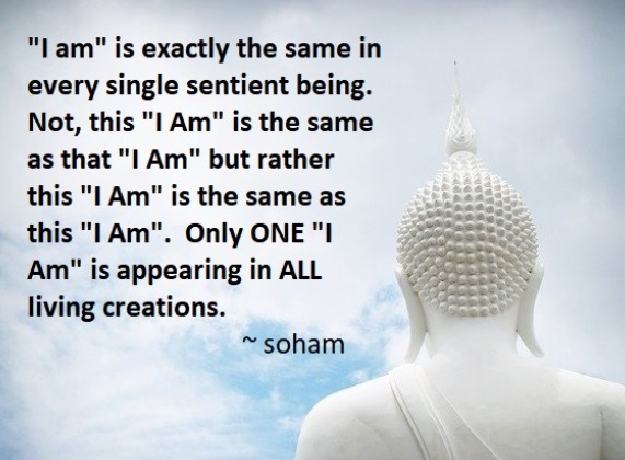 There is Only ONE 'I Am'