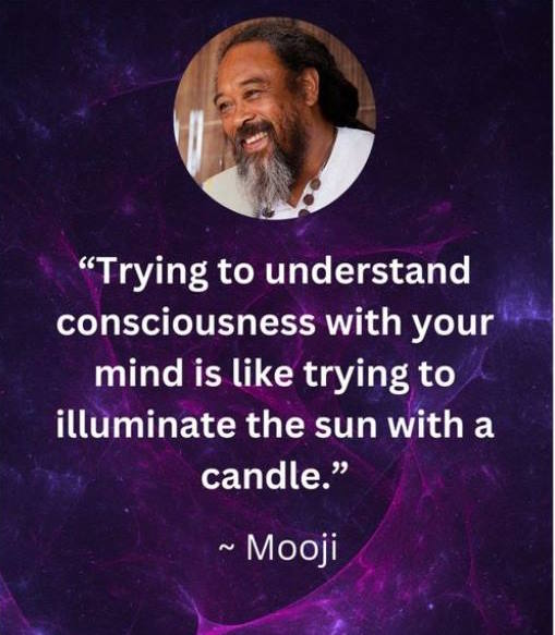 Trying to Understand Consciousness with your Mind