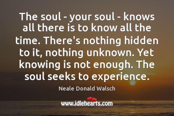 Your Soul Wants to Experience